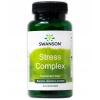 SWANSON Stress Complex 60kaps