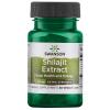 Shilajit Extract