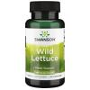 Wild Lettuce