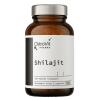OSTROVIT Shilajit (90 caps)