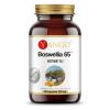 YANGO Boswellia 65 (60 caps)